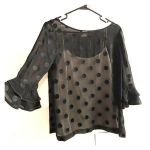 Kate spade ♠️ polka dot sheer top